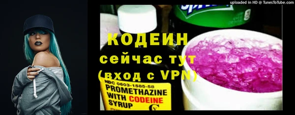 прущий лед Алзамай