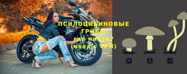 метадон Армянск