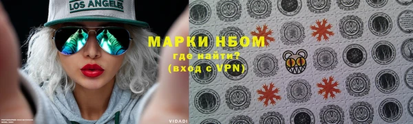 кокс Арсеньев