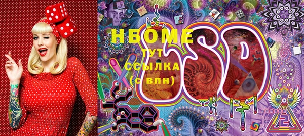 прущий лед Алзамай